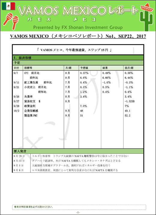 バモスメヒコレポート(